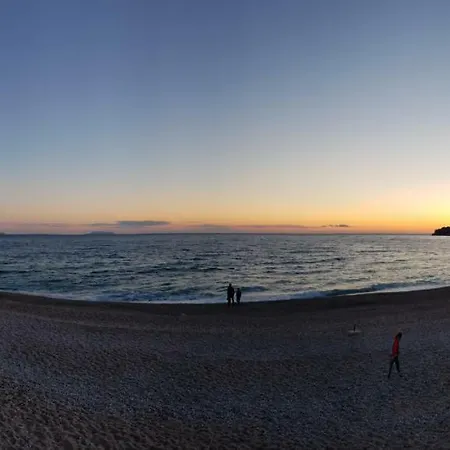 Toni Retzo Himare